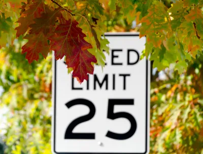 25 mph speed limit sign partially obscured by red and orange fall leaves