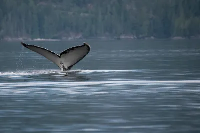 Salish Sea