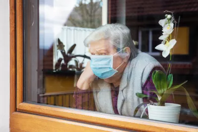 Elderly woman with short gray hair wearing blue surgical mask looks out window with wooden frame, a potted purple orchid on the windowsill