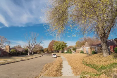 View of wide residential street in Dallas, Texas neighborhood with one white car parked at the curb and large tree with yellow fallen leaves around it