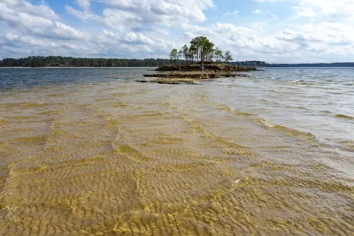 View of reservoir with small island with trees in Texas