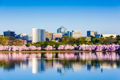 View across lake of Washington, D.C. office buildings with blooming cherry trees in front on lakeshore
