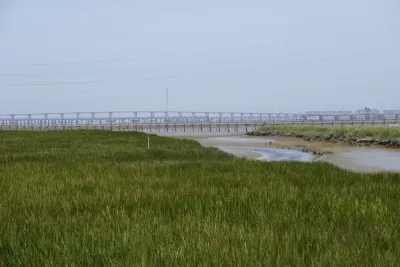 Bay Area Wetlands