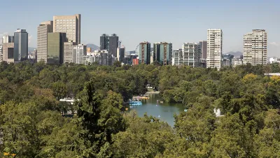 Bosque de Chapultapec