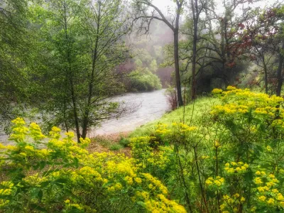 California River
