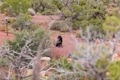 Wilderness Trails