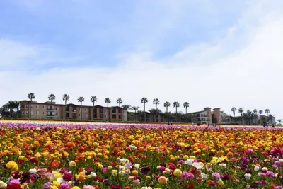 Agricultural Land