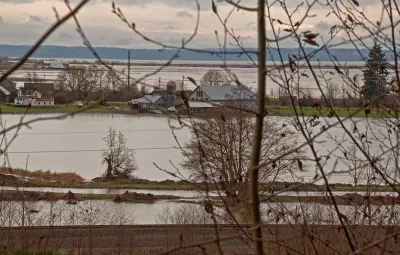 Flood