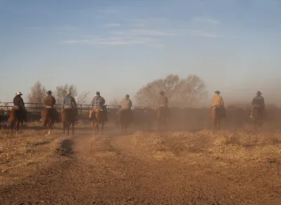 Cattle Ranch