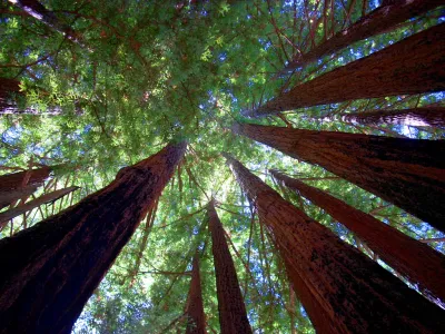 Sequoia State Park