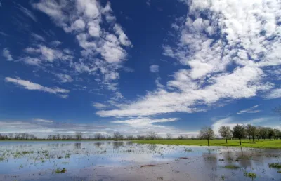 Texas Wetlands