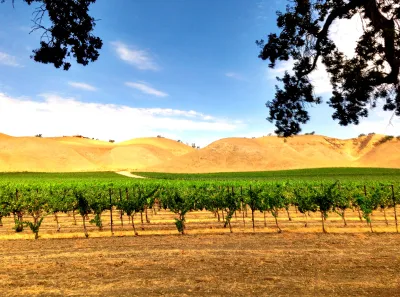 An image of a winery in Paso Robles