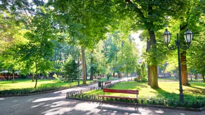Paved walkways with wood benches in green city park with large trees.