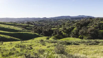 Rolling green hills in San Fernando Valley, Los Angeles