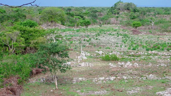 Mayan City
