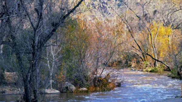 The San Diego River where it passes through the Mission Trails Regional Park.