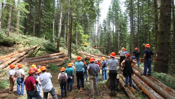 Wood, Timber, Forestry, Logging