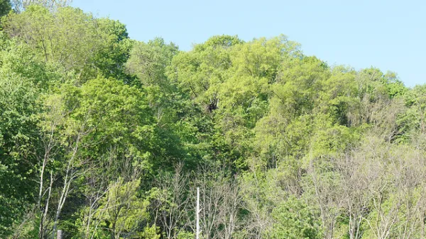 Hays Woods