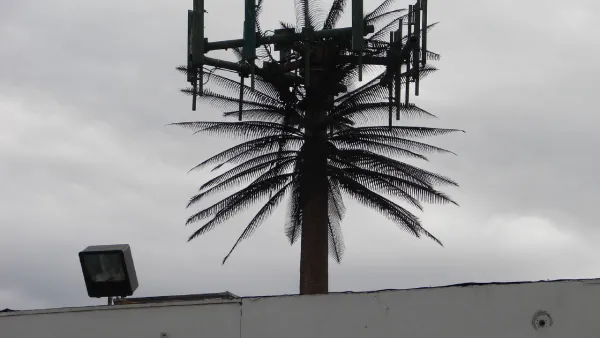 Cell Tower, MonoPalm, Los Angeles