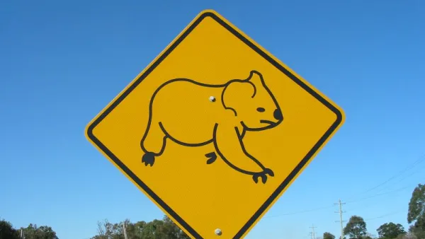 Koala Sign