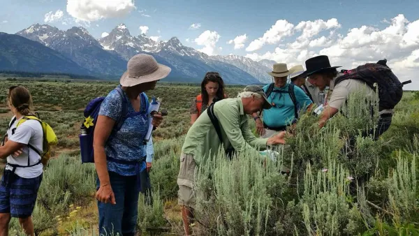 Citizen Science Day in Bridger-Teton National Forest