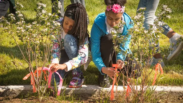 Detroit Bioretention Garden