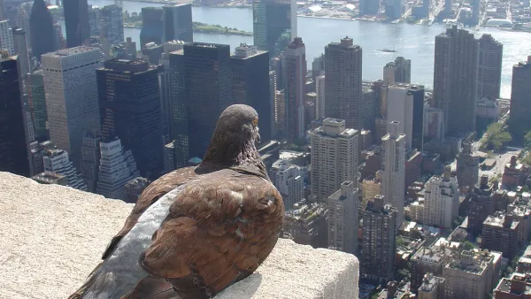 Manhattan