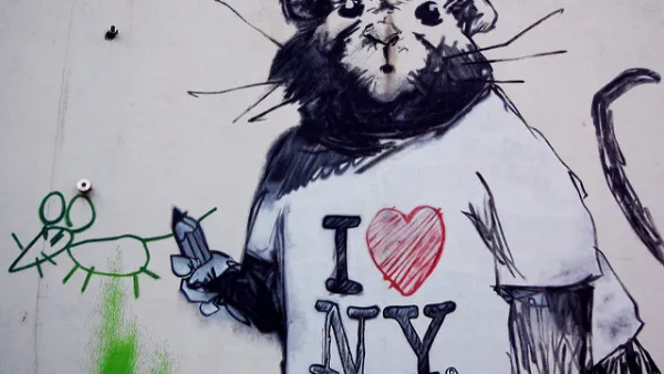 Vermin Graffiti
