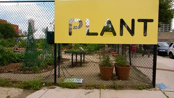 Chicago Community Garden