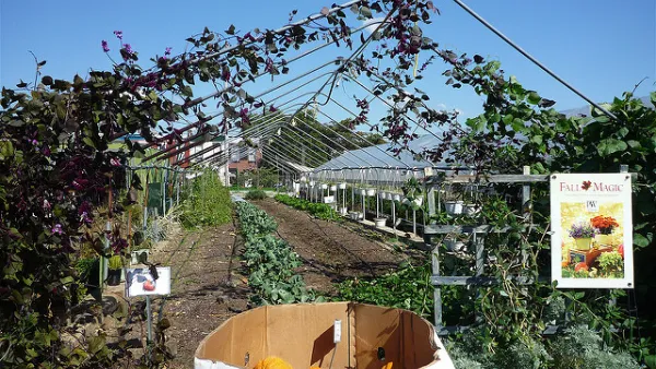 Philadelphia Urban Farm