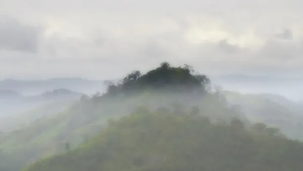 Panama City Rainforest Fog
