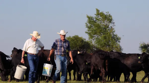 Cattle Farmers