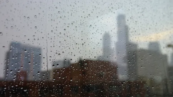 Chicago Rain