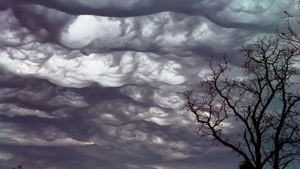 Asperatus