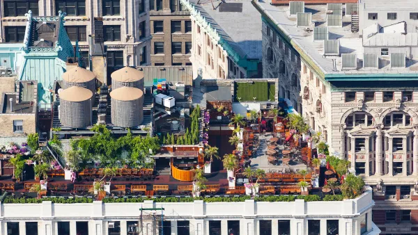 Aerial view of rooftop garden in New York City.