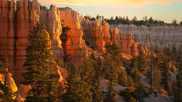 Stone hoodoos at Bryce Canyon National Park, Utah at golden hour.
