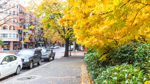 Sidewalk in Seattle with yellow fall leaves on the ground and cars parked next to the curb.