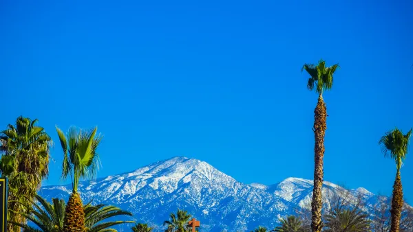 Tall palm trees against bright blue sky with snowy mountains in background. Los Angeles, California.