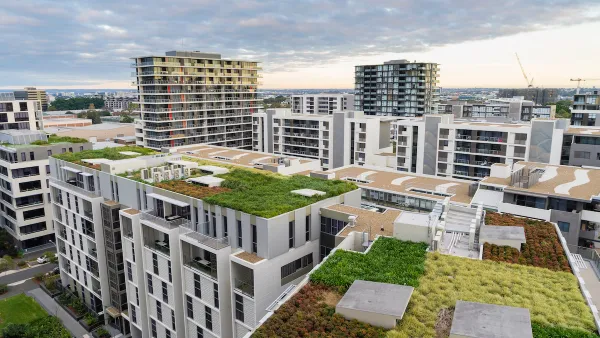 Aerial view of green roofs with plants in Sydney, Australia.