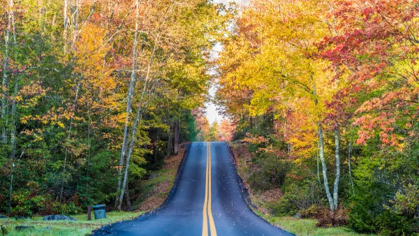 Straight black asphalt road through forest with colorful fall foliage.