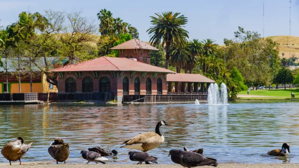 Canada geese and ducks on the shore of a lake with red brick boathouse in background across the lake in Lincoln Park, Los Angeles.