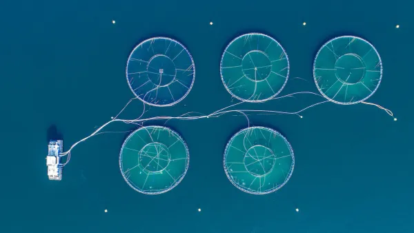 Overhead view of salmon farm in sea in Norway.