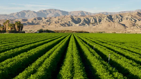 View of green carrot field against backdrop of arid Southwest mountains
