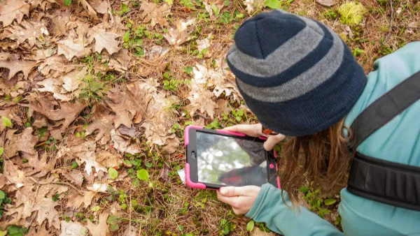 Woman wearing beanie leaning down over grass covered with fall leaves using tablet to identify plants.