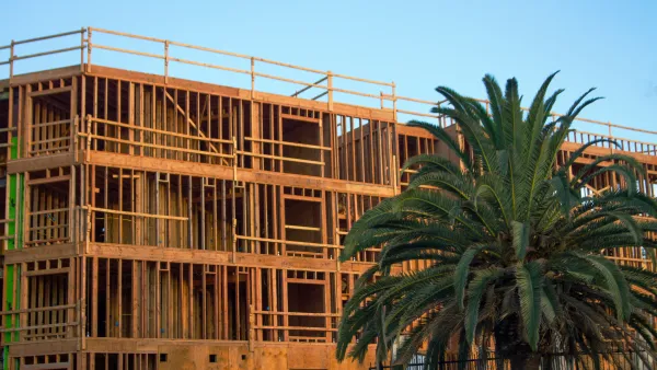 Wood-frame building under construction with robust palm tree in front