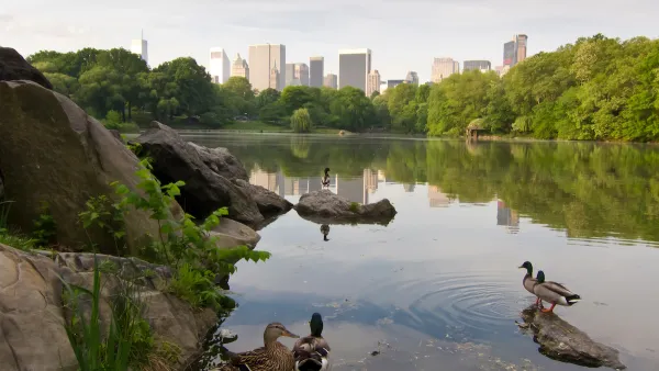 Lake in city park with ducks in foreground and city skyline across the lake in the background.