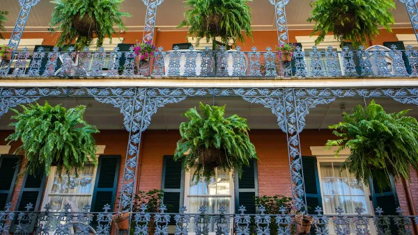 View looking up at wrought iron French Quarter balcony in New Orleans with bright green fern plants in planters.