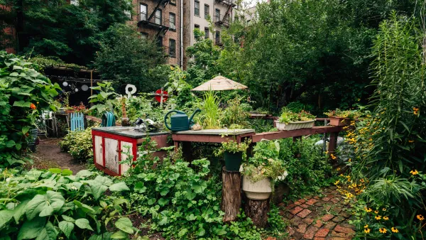 Lush urban community garden with raised beds in dense New York City neighborhood with brick apartment buildings in background.