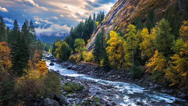 View of river in Washington State surrounded by lush forest.