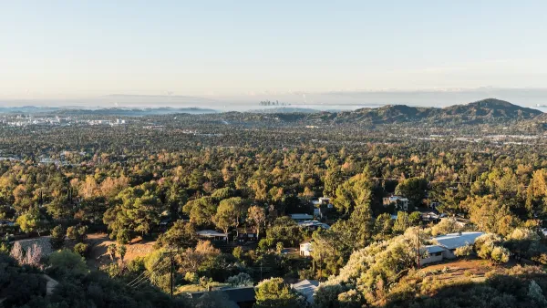 View of wooded area and homes in Altadena, California with hills and downtown Los Angeles, California in the distance.
